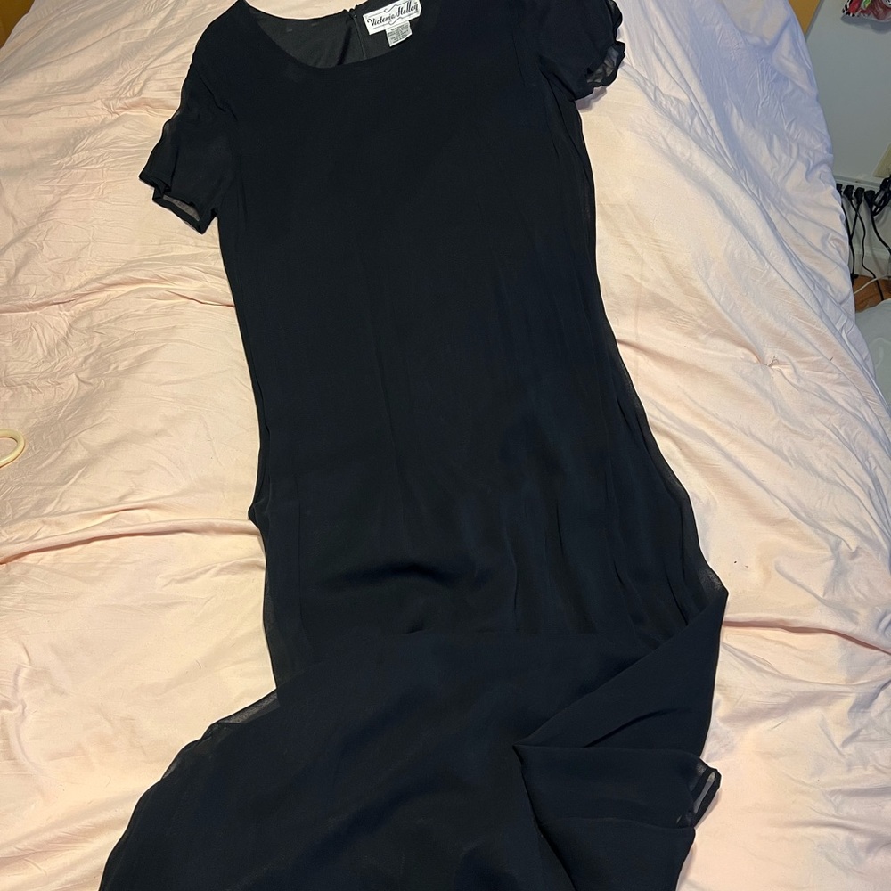 Sheer lines long black dress. Short sheer sleeve with zipper back.
